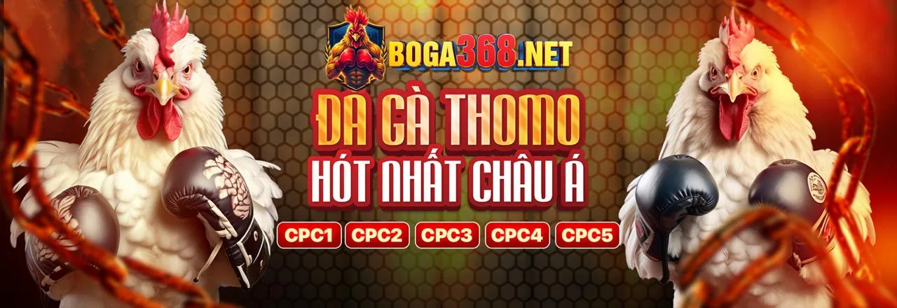 Đá Gà Trực Tuyến 79kinh win 2026